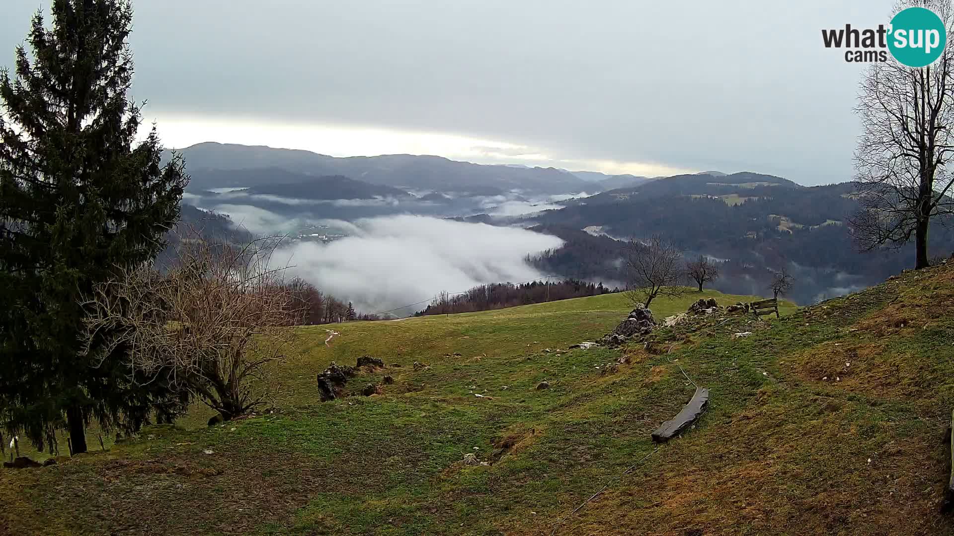 Slajka webcam | Gorenja Vas | Slowenien