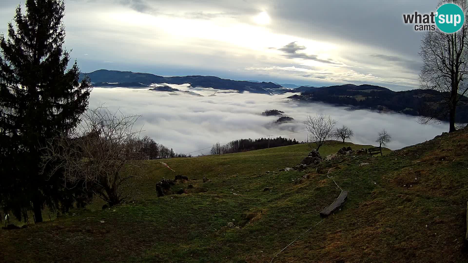 Slajka webam | Gorenja vas | Slovenia
