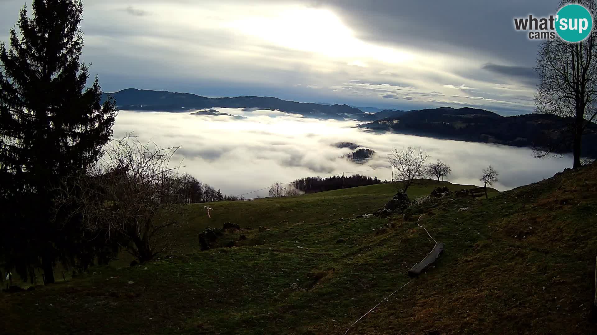 Slajka webcam | Gorenja Vas | Slowenien