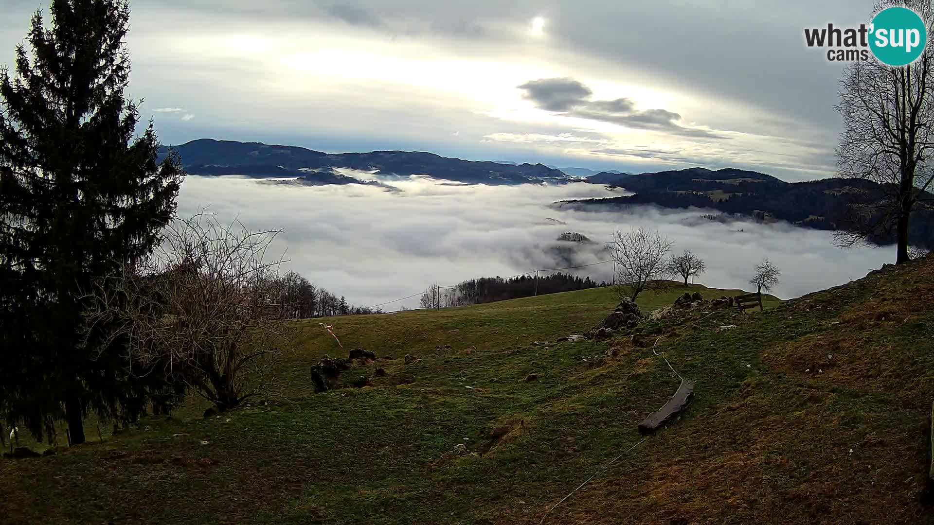 Slajka camera en vivo | Gorenja Vas | Eslovenia