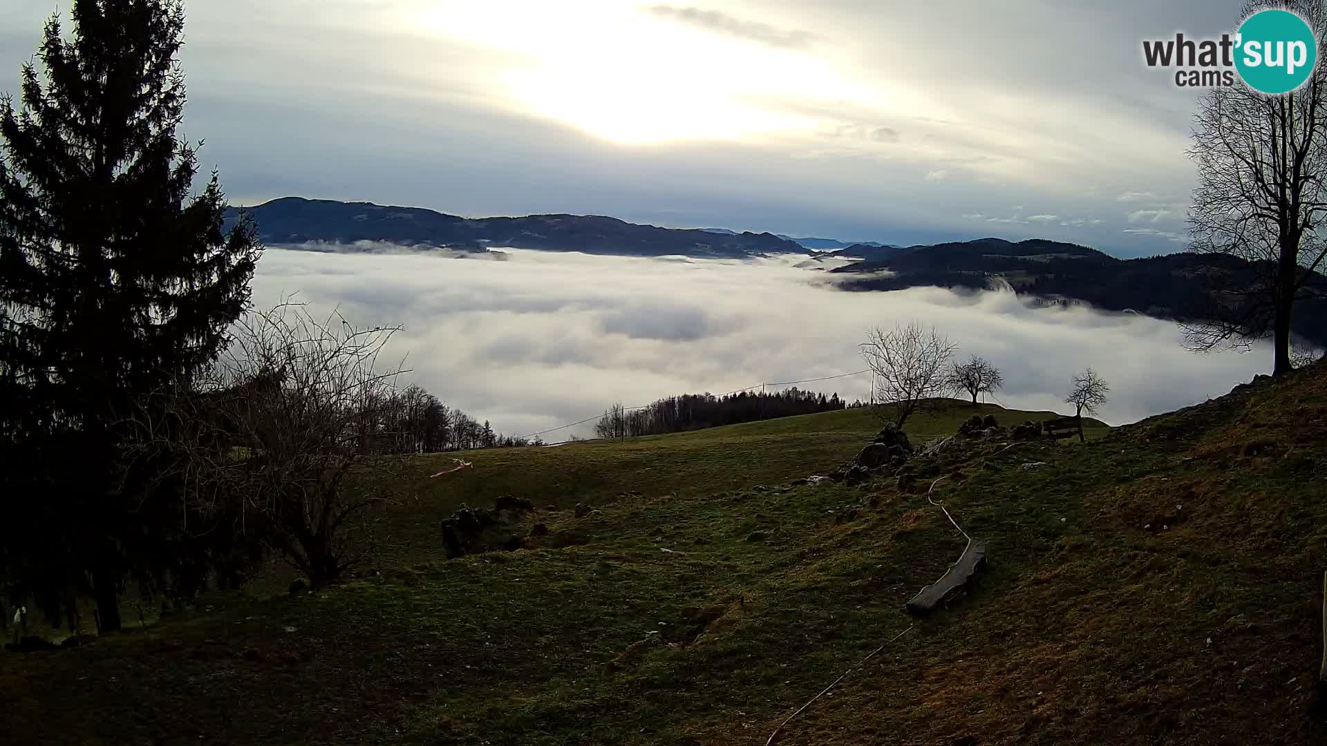 Slajka webam | Gorenja vas | Slovenia