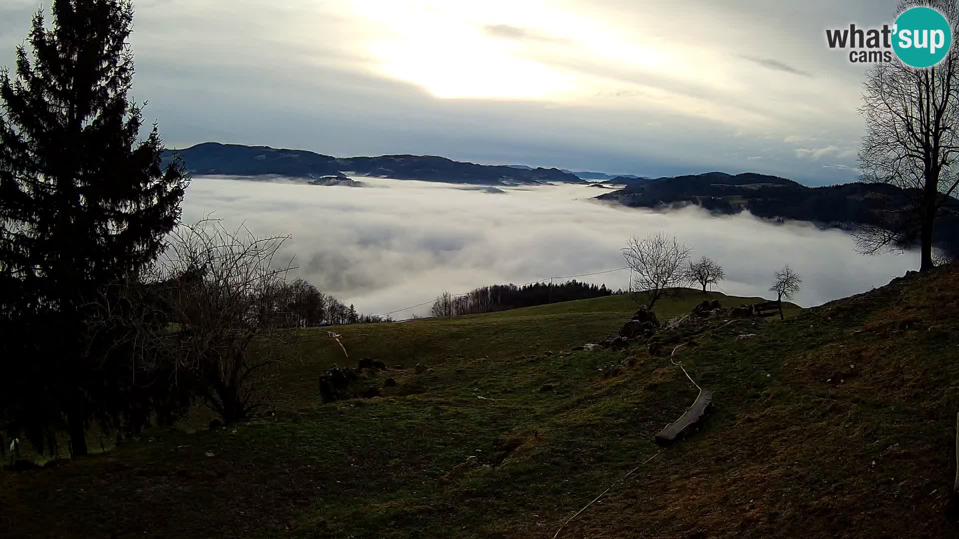 Slajka camera en vivo | Gorenja Vas | Eslovenia