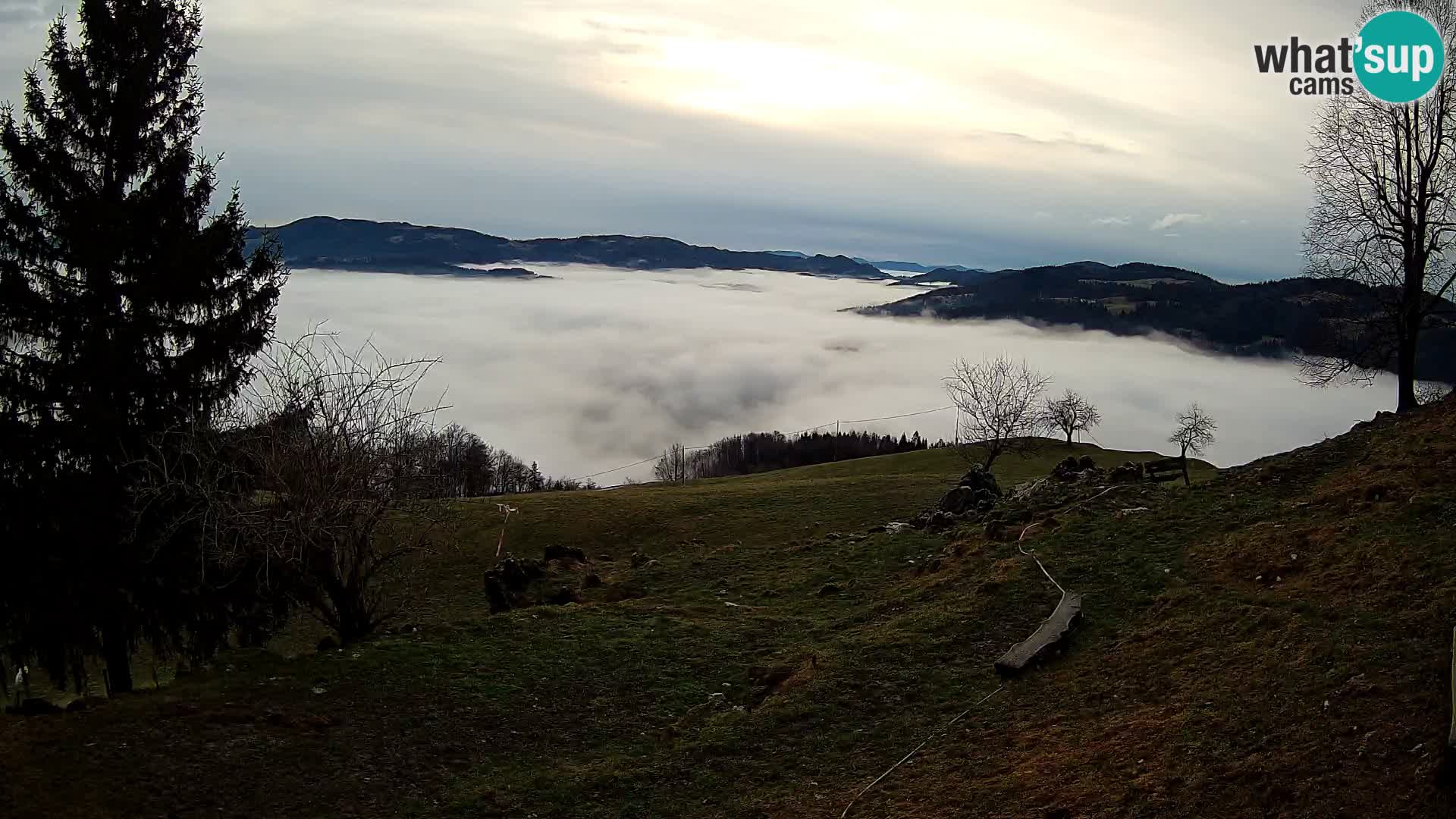 Slajka camera en vivo | Gorenja Vas | Eslovenia