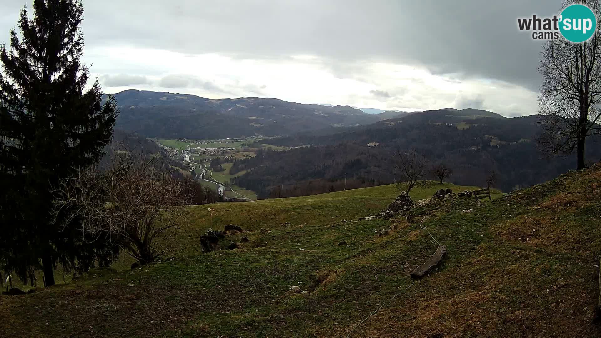 Slajka webam | Gorenja vas | Slovenia