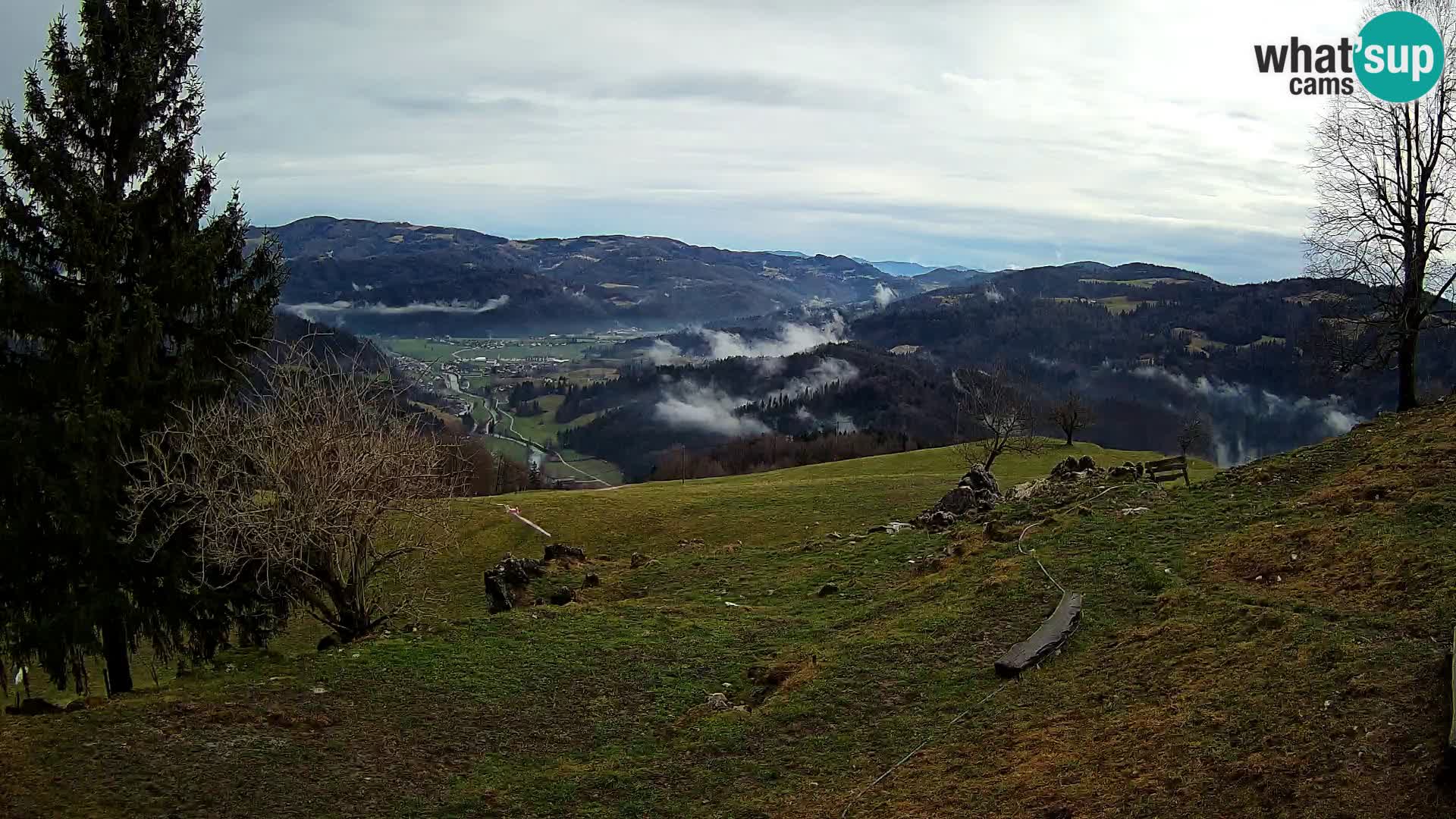 Slajka livecam | Gorenja Vas | Slovénie