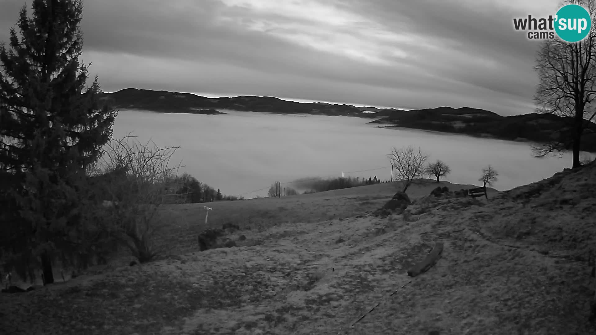 Slajka livecam | Gorenja Vas | Slovénie