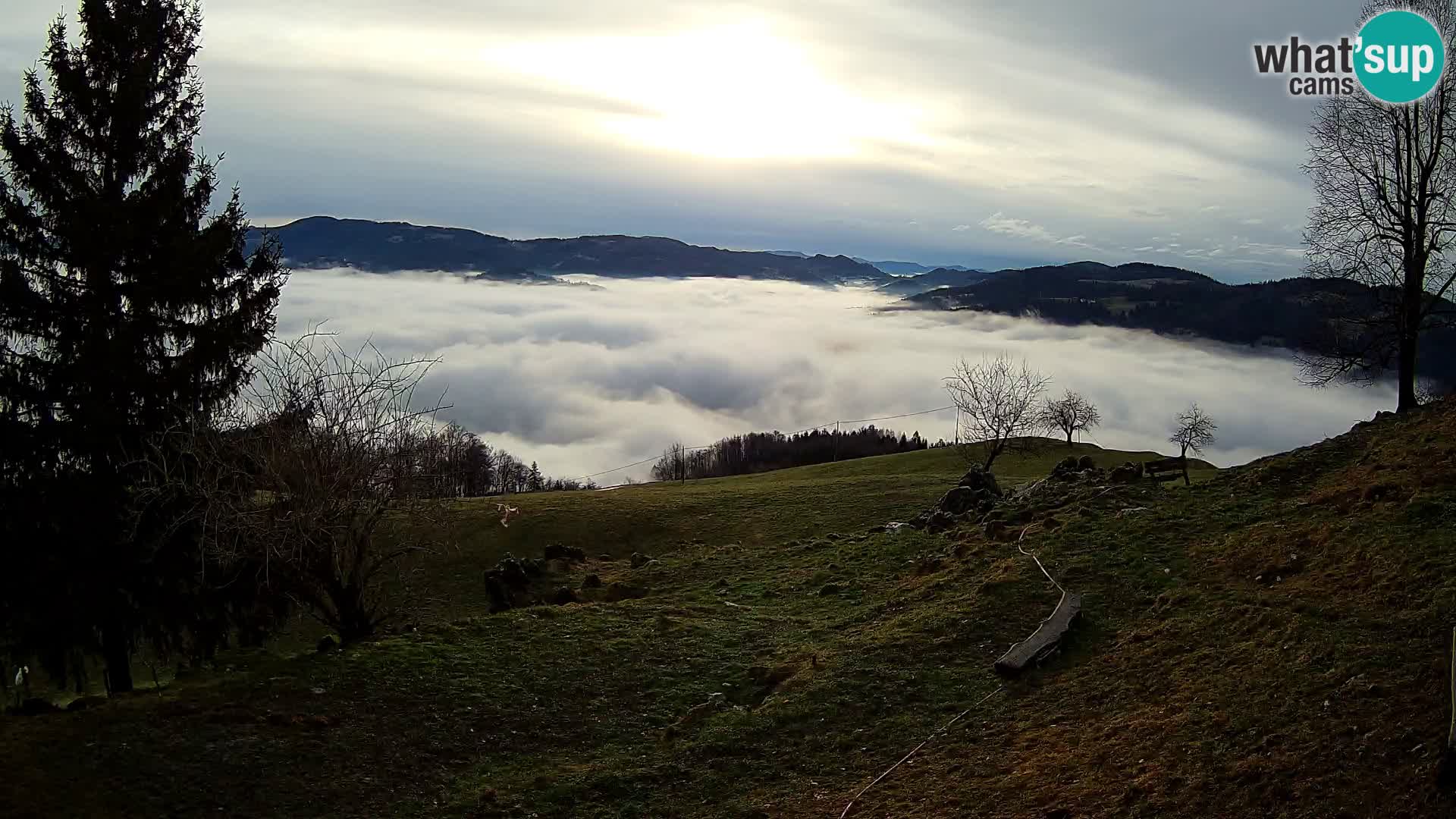 Slajka camera en vivo | Gorenja Vas | Eslovenia