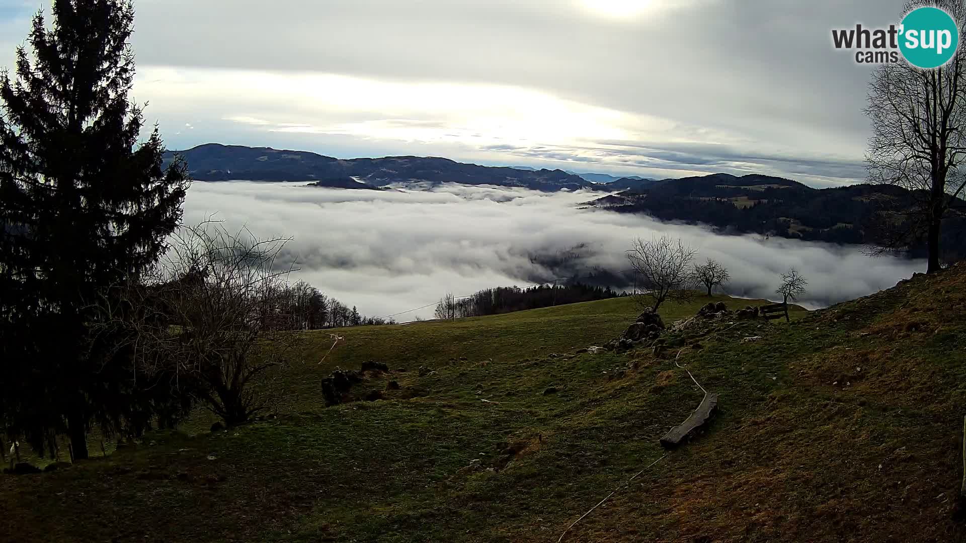 Slajka webam | Gorenja vas | Slovenia