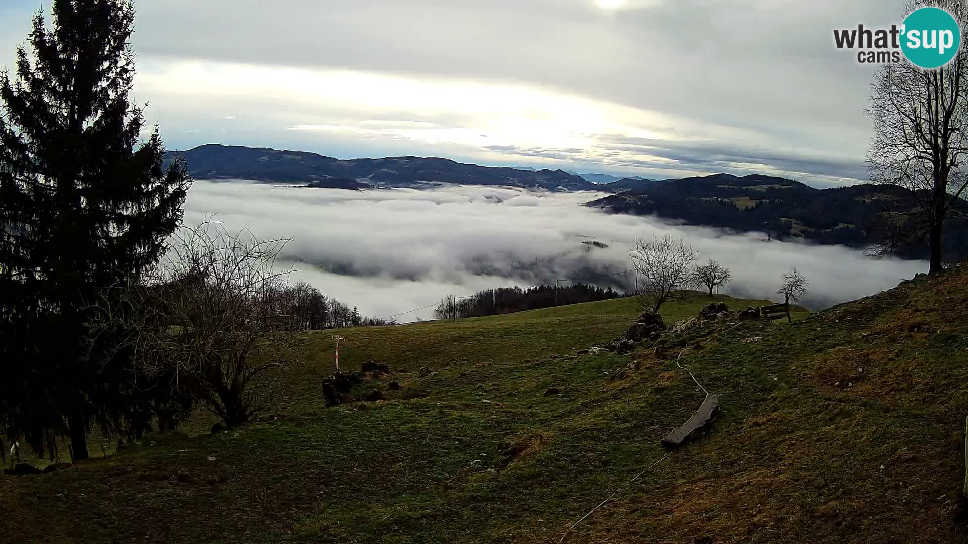 Slajka web kamera | Gorenja Vas | Slovenija