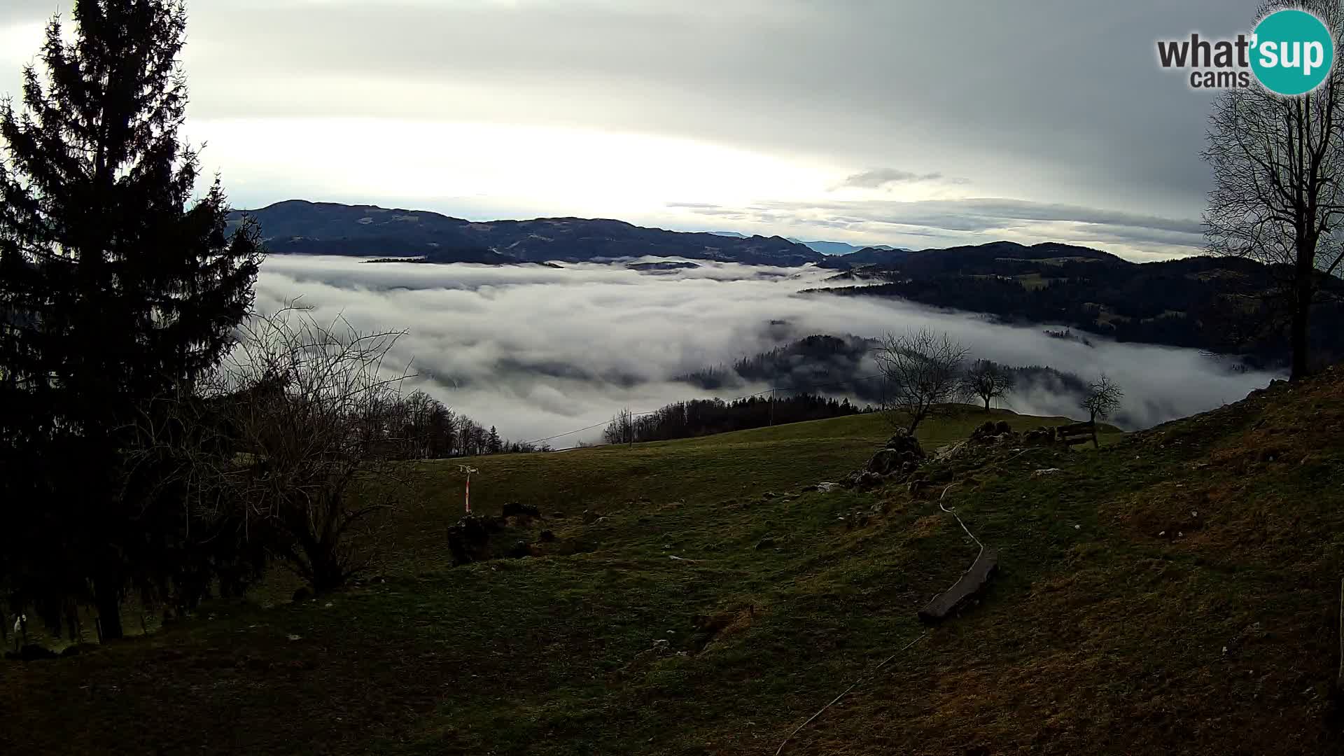 Slajka livecam | Gorenja Vas | Slovénie