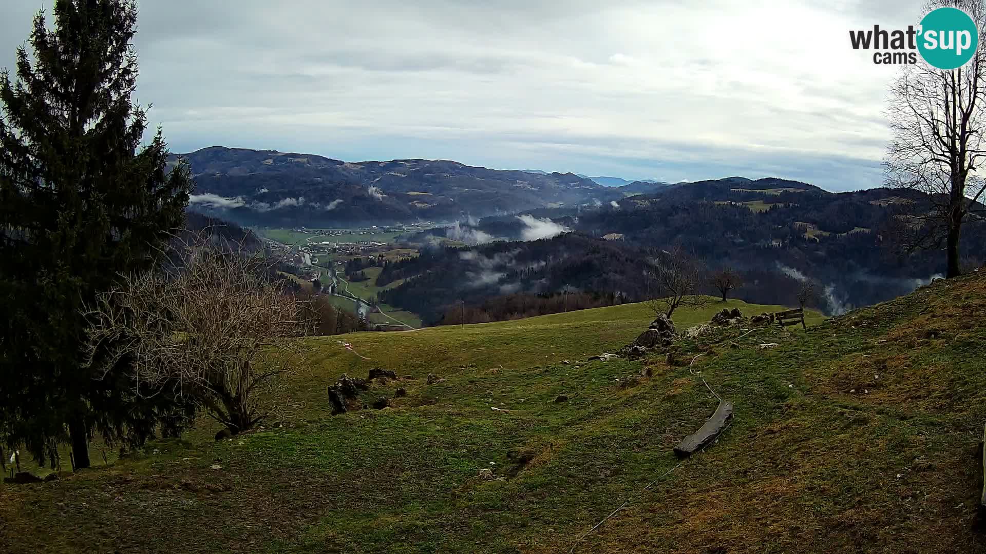 Slajka camera en vivo | Gorenja Vas | Eslovenia