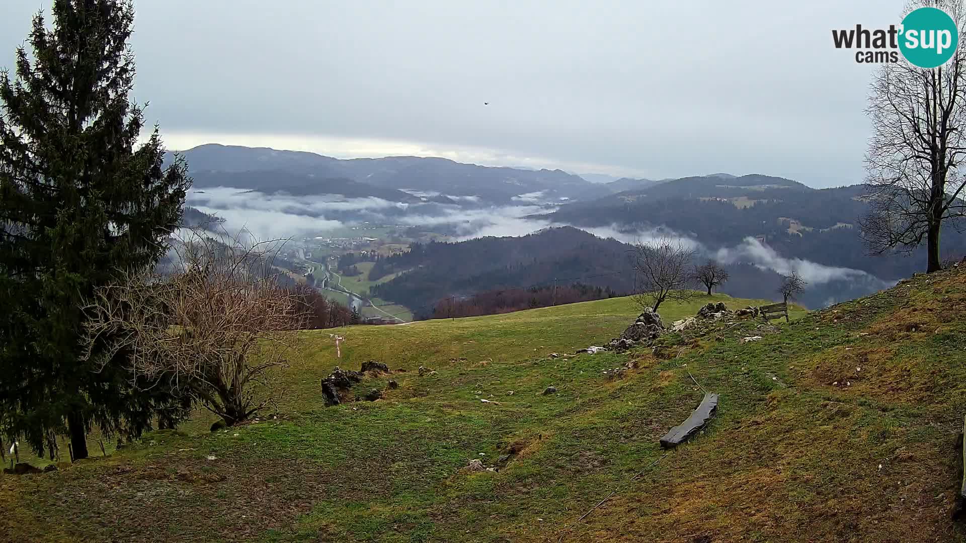 Slajka web kamera | Gorenja Vas | Slovenija