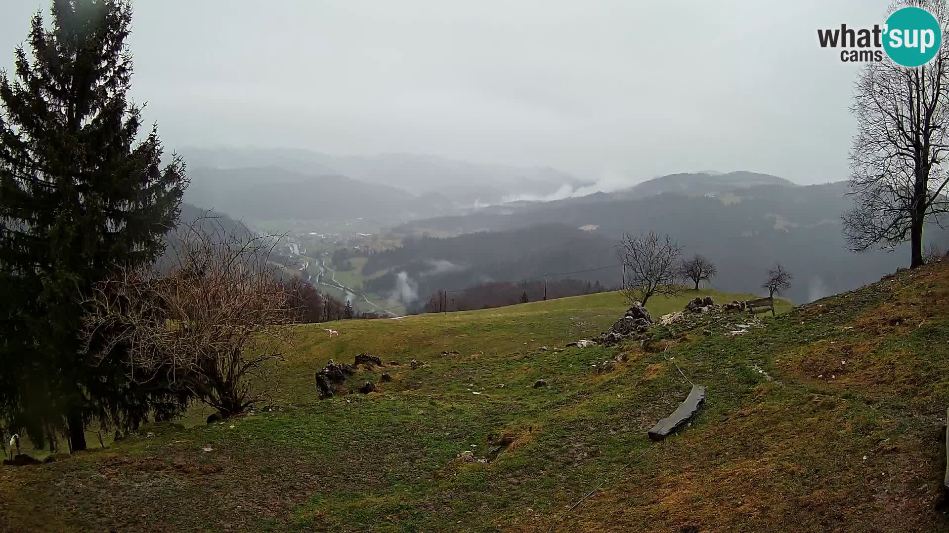 Spletna kamera Slajka | Gorenja vas