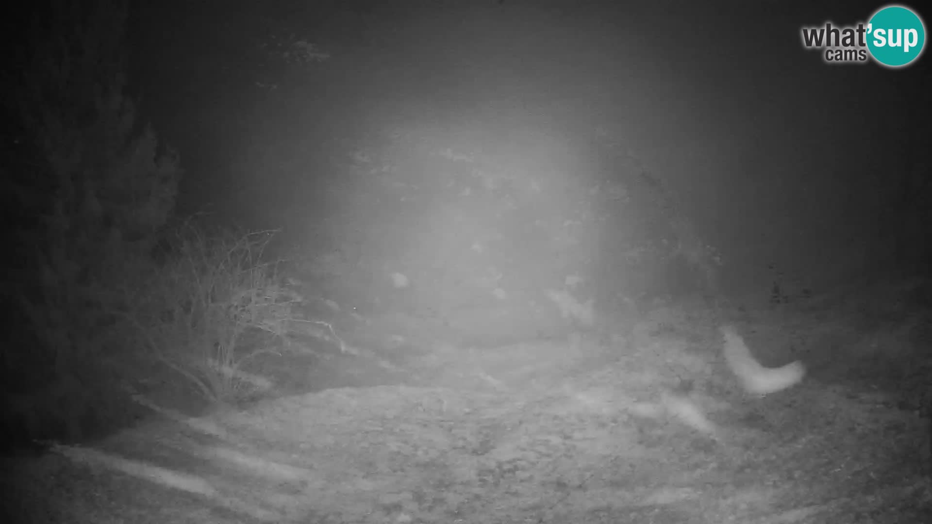 Slajka camera en vivo | Gorenja Vas | Eslovenia