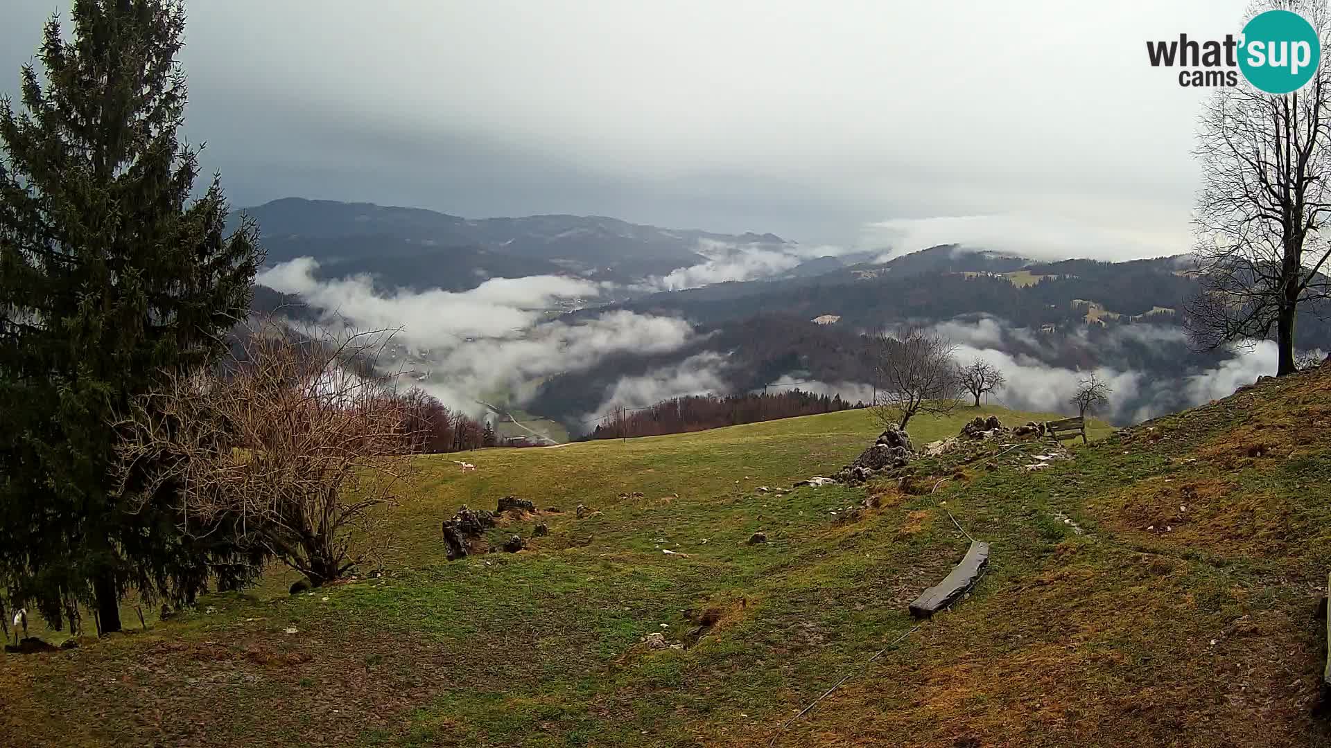 Slajka webcam | Gorenja Vas | Slowenien