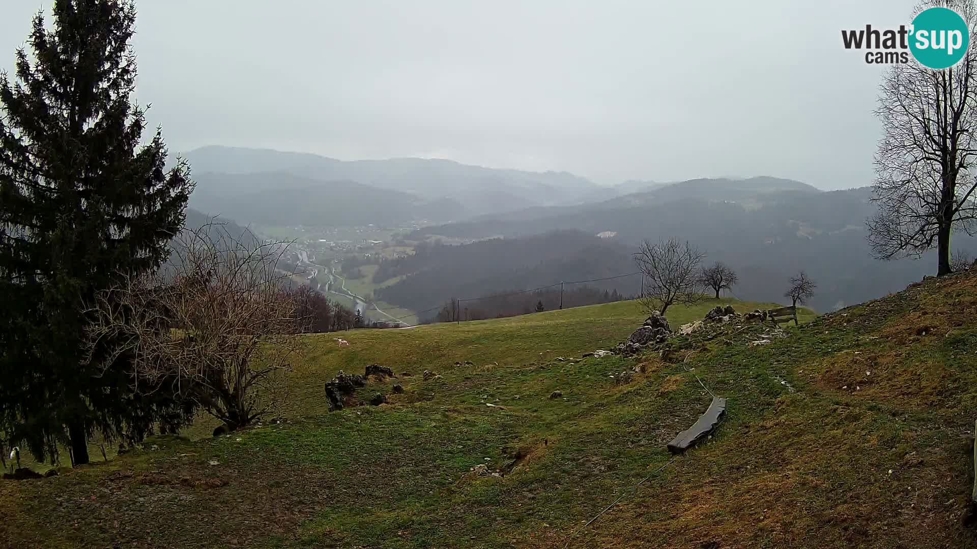 Slajka livecam | Gorenja Vas | Slovénie