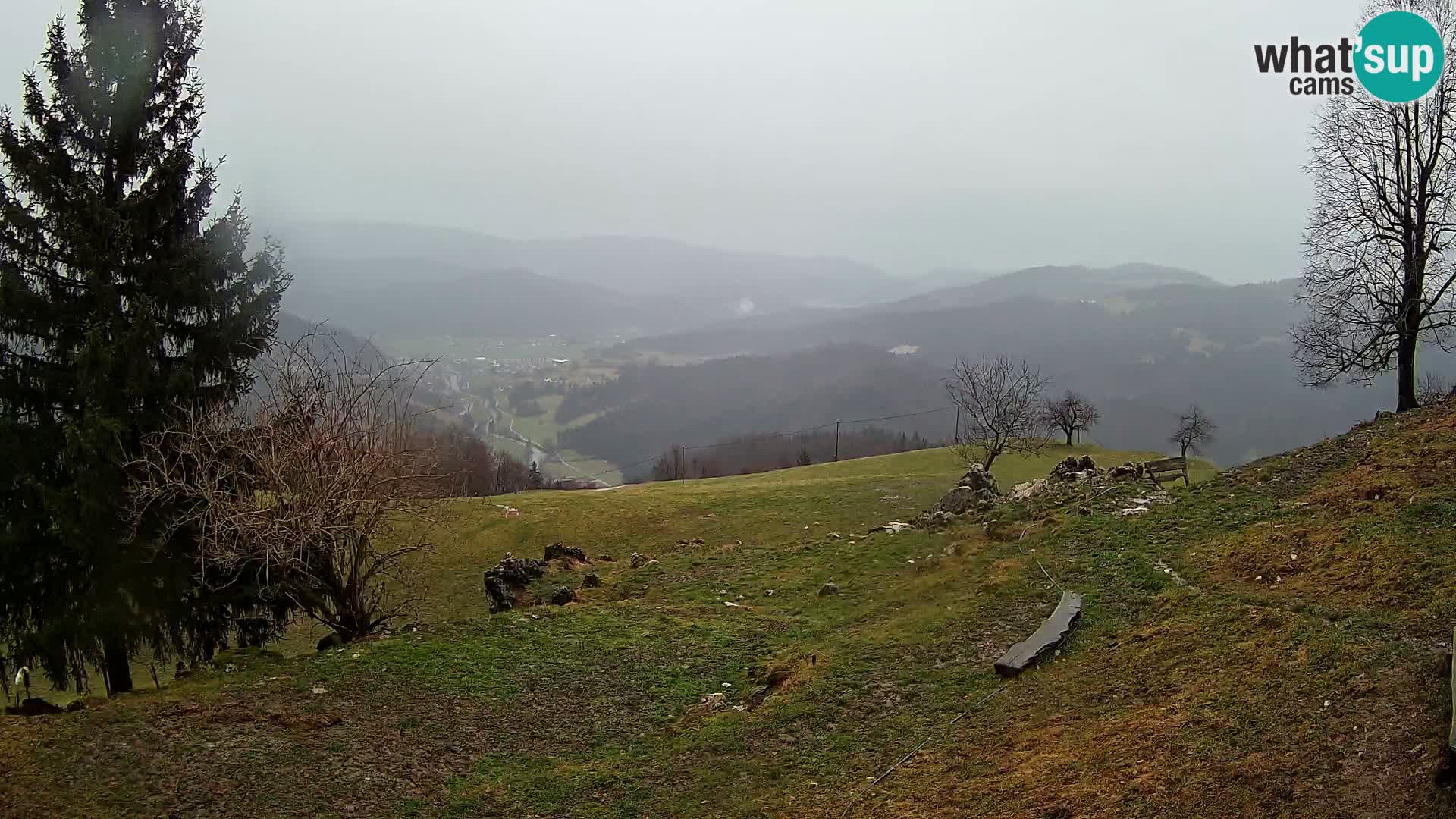 Slajka camera en vivo | Gorenja Vas | Eslovenia