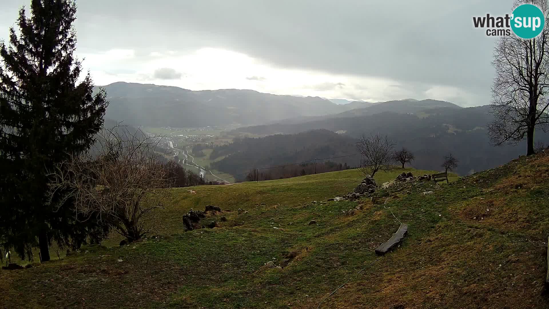 Slajka webcam | Gorenja Vas | Slowenien