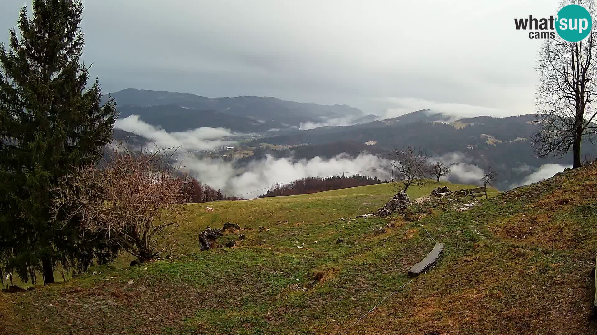 Slajka webam | Gorenja vas | Slovenia