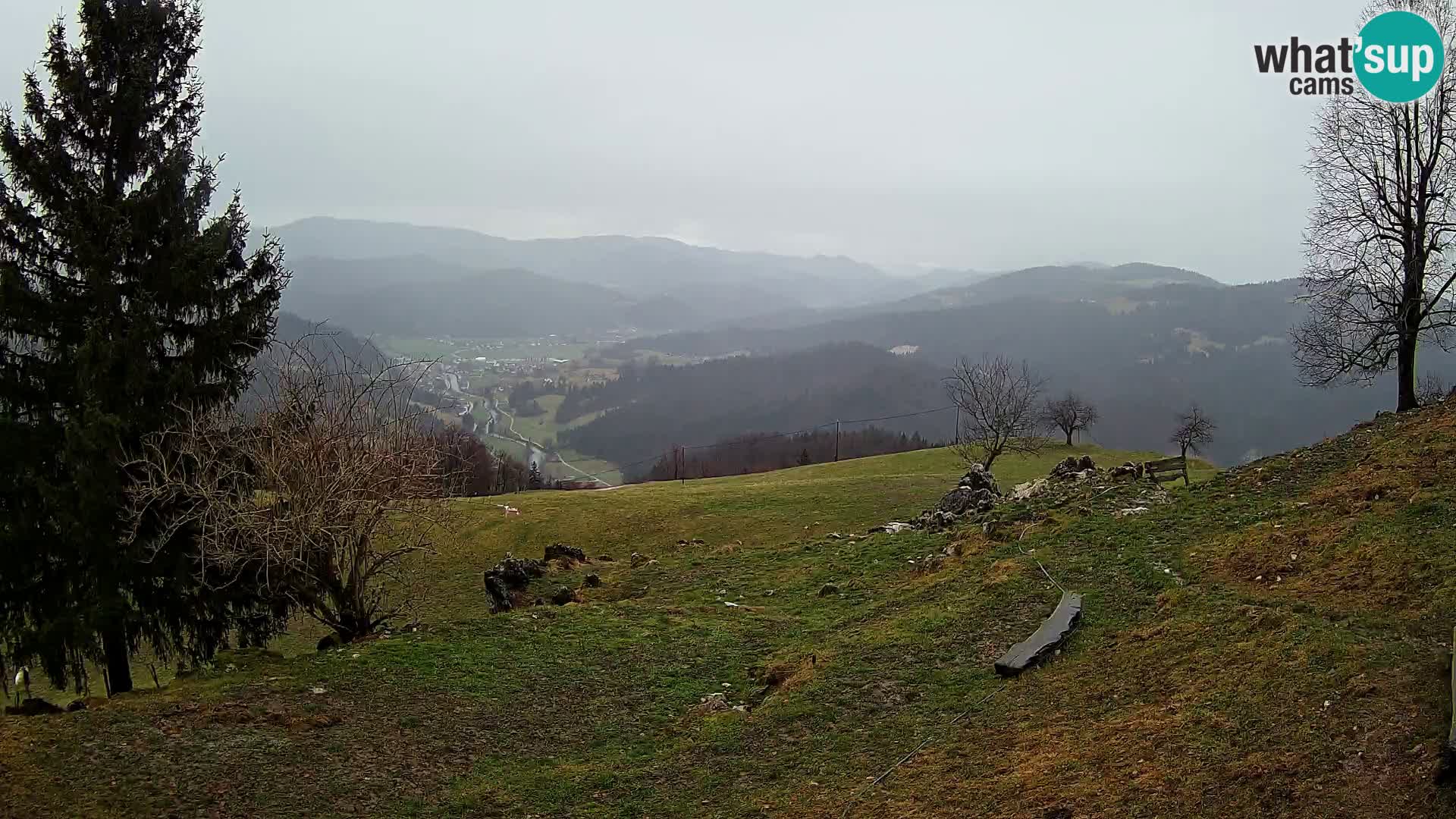 Slajka camera en vivo | Gorenja Vas | Eslovenia