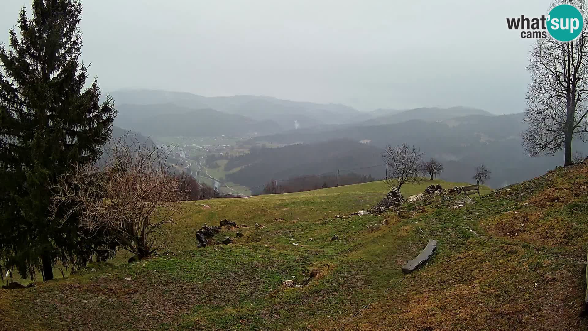 Slajka livecam | Gorenja Vas | Slovénie