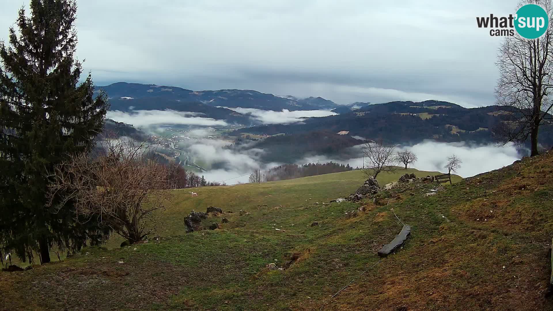 Slajka web kamera | Gorenja Vas | Slovenija