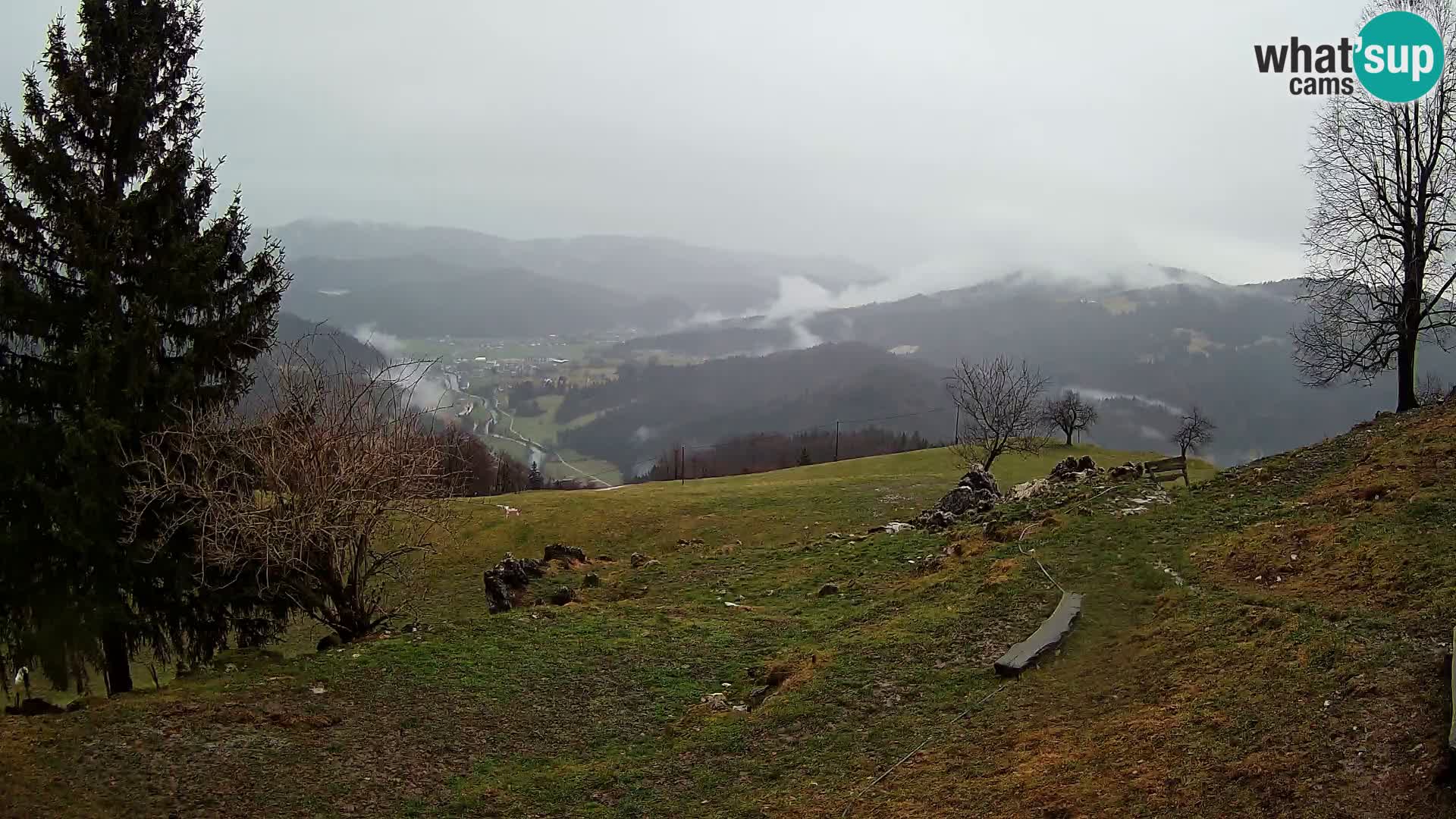 Slajka webcam | Gorenja Vas | Slowenien