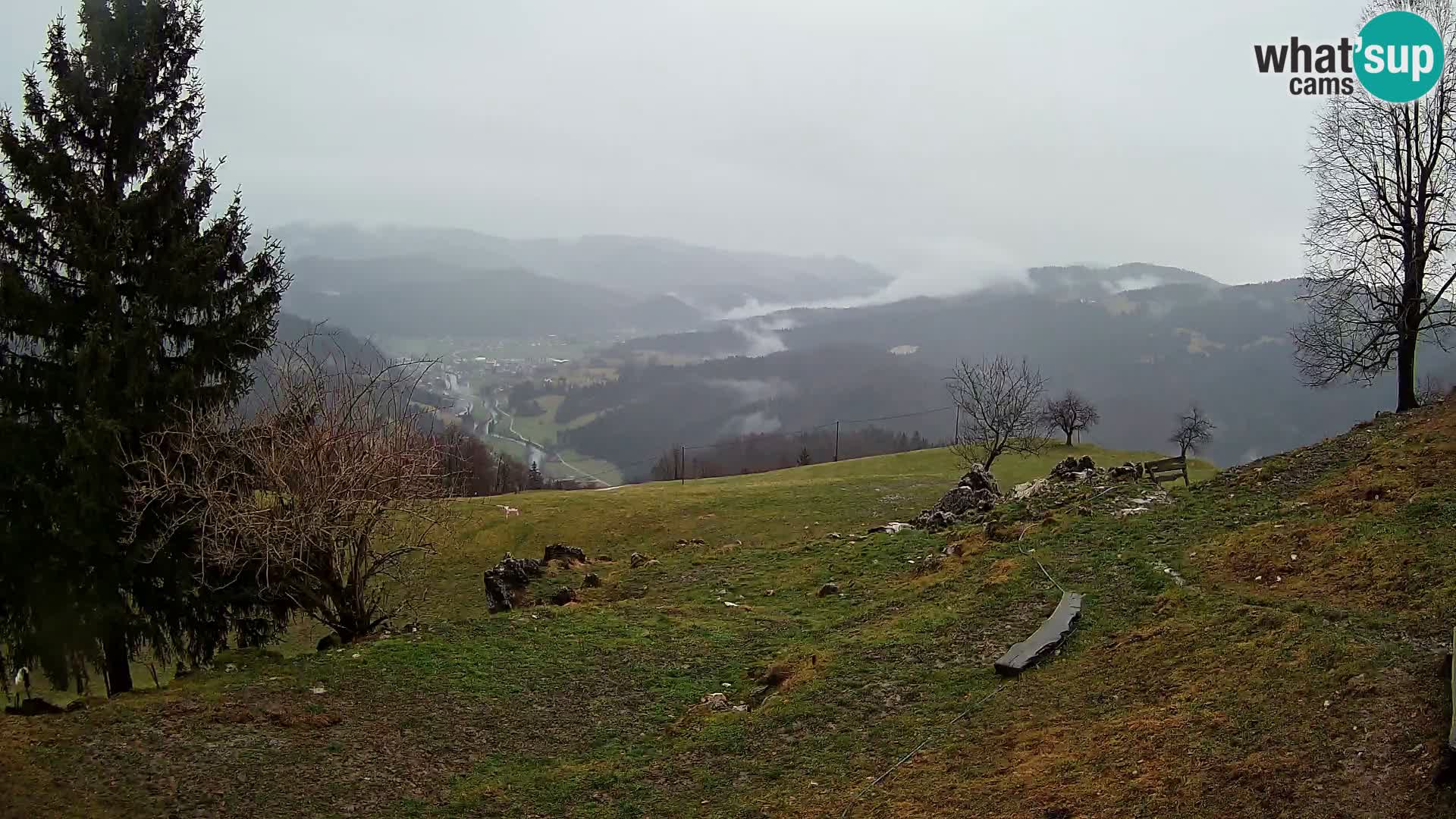 Slajka webcam | Gorenja Vas | Slowenien