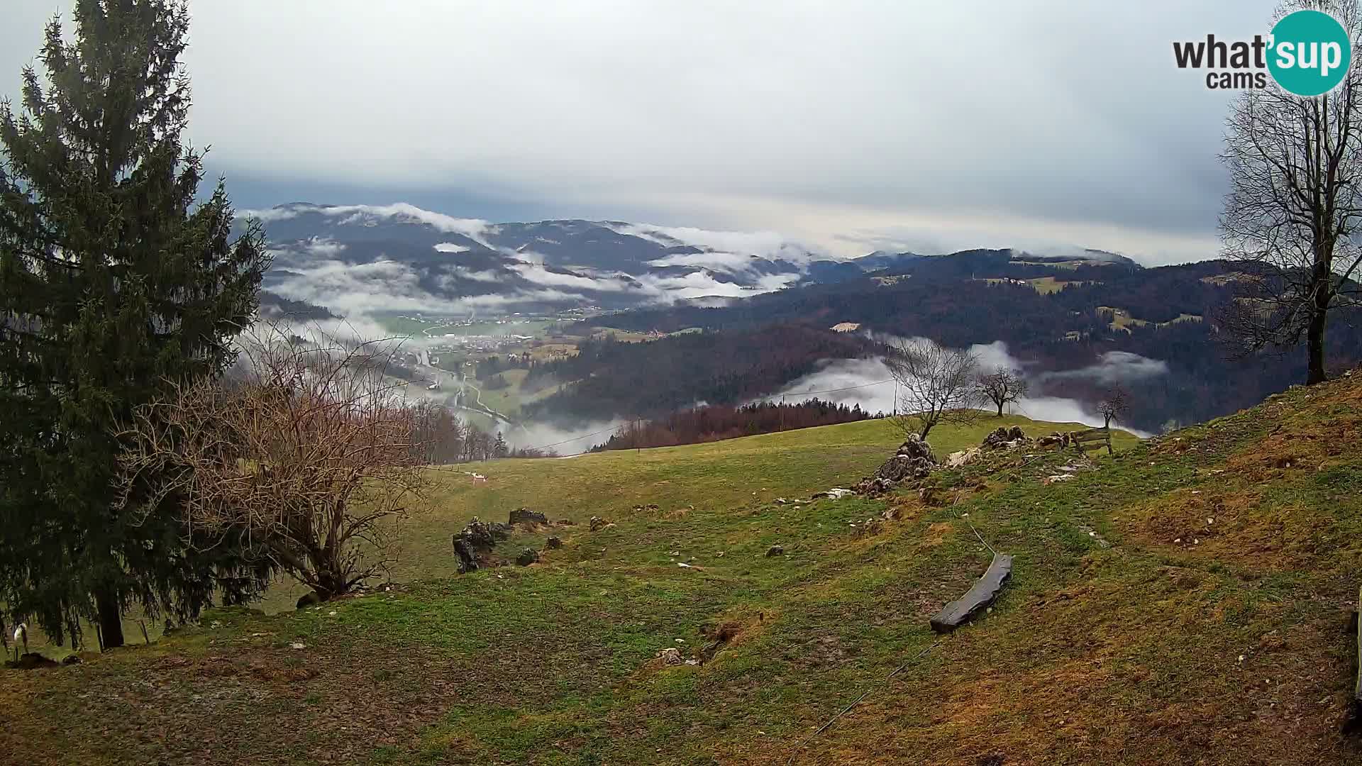 Slajka webcam | Gorenja Vas | Slowenien