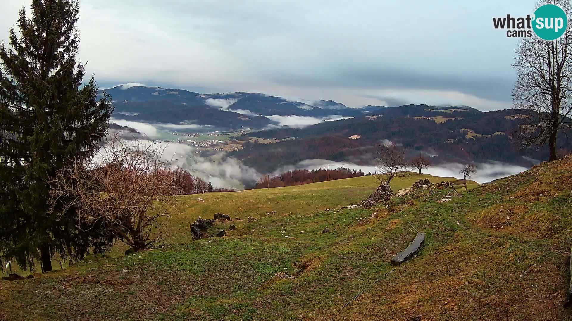 Slajka web kamera | Gorenja Vas | Slovenija