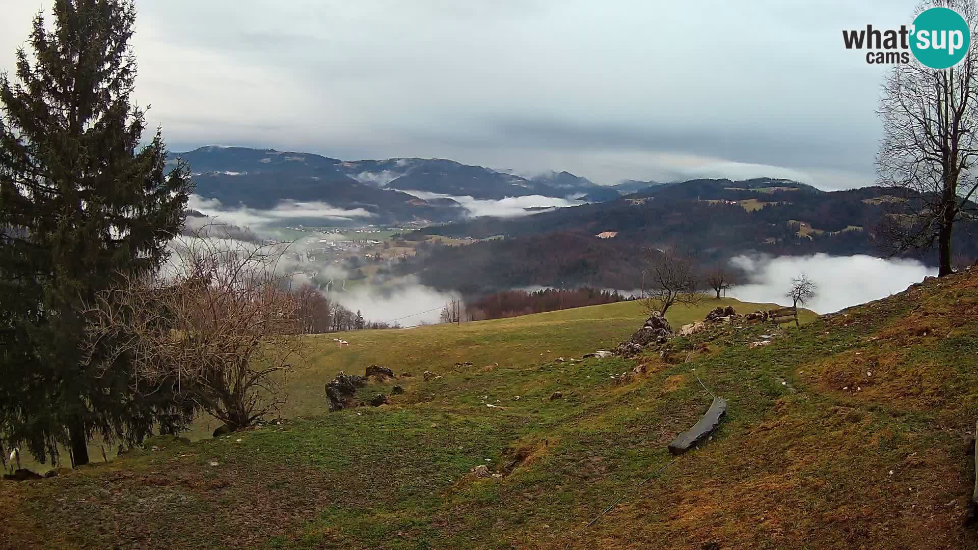 Slajka webam | Gorenja vas | Slovenia