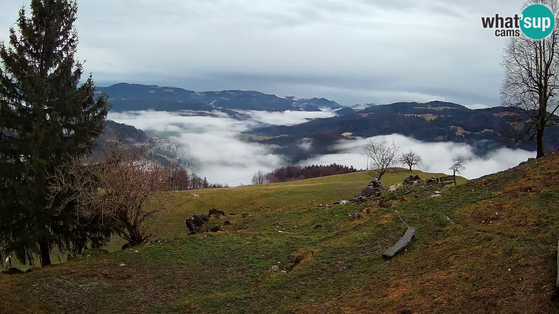 Webcam Slajka | Gorenja vas | Slovenia