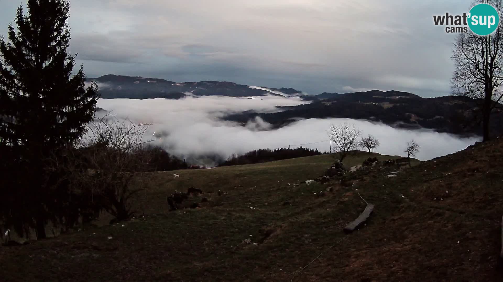 Slajka camera en vivo | Gorenja Vas | Eslovenia