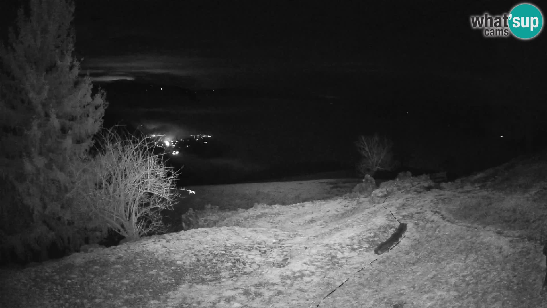 Slajka livecam | Gorenja Vas | Slovénie