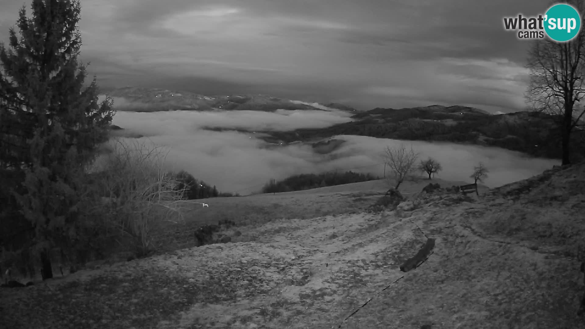 Slajka camera en vivo | Gorenja Vas | Eslovenia