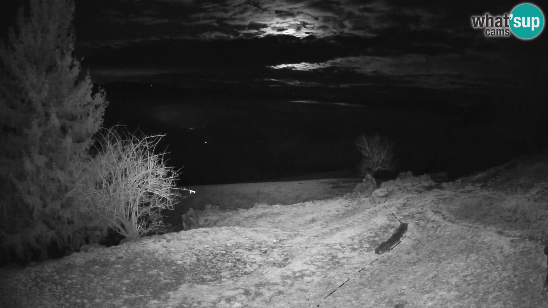 Slajka camera en vivo | Gorenja Vas | Eslovenia