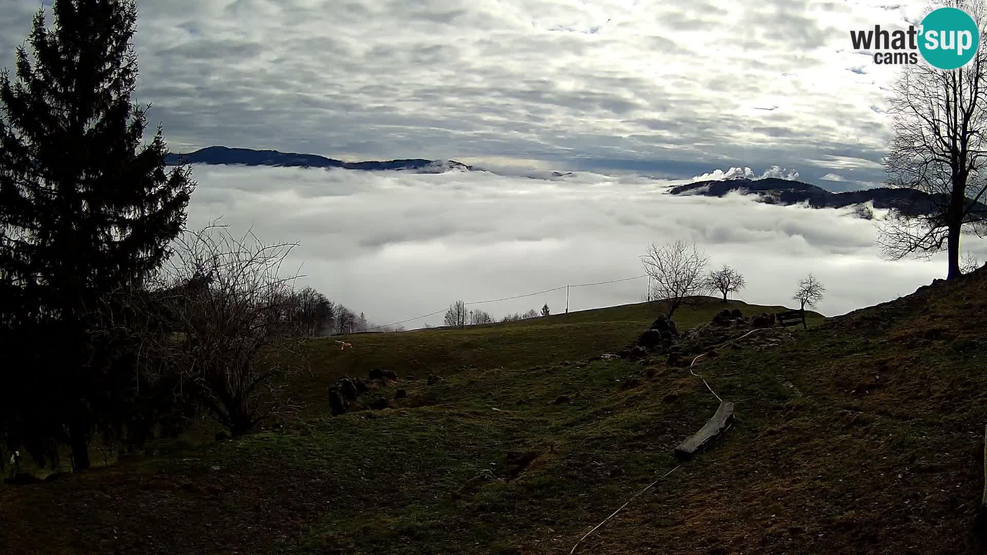 Webcam Slajka | Gorenja vas | Slovenia