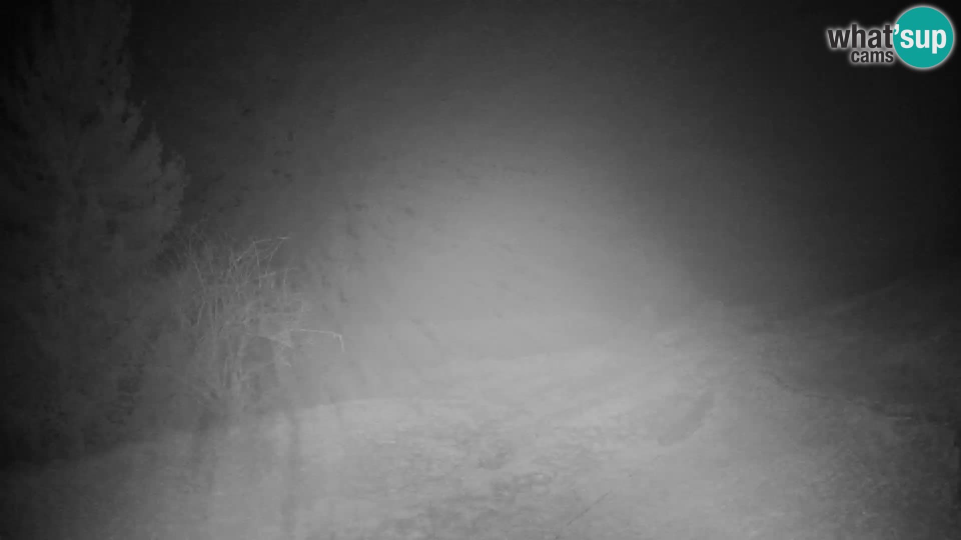 Slajka webcam | Gorenja Vas | Slowenien