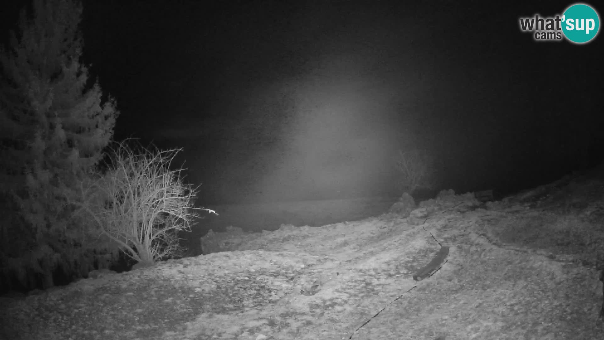 Slajka webcam | Gorenja Vas | Slowenien