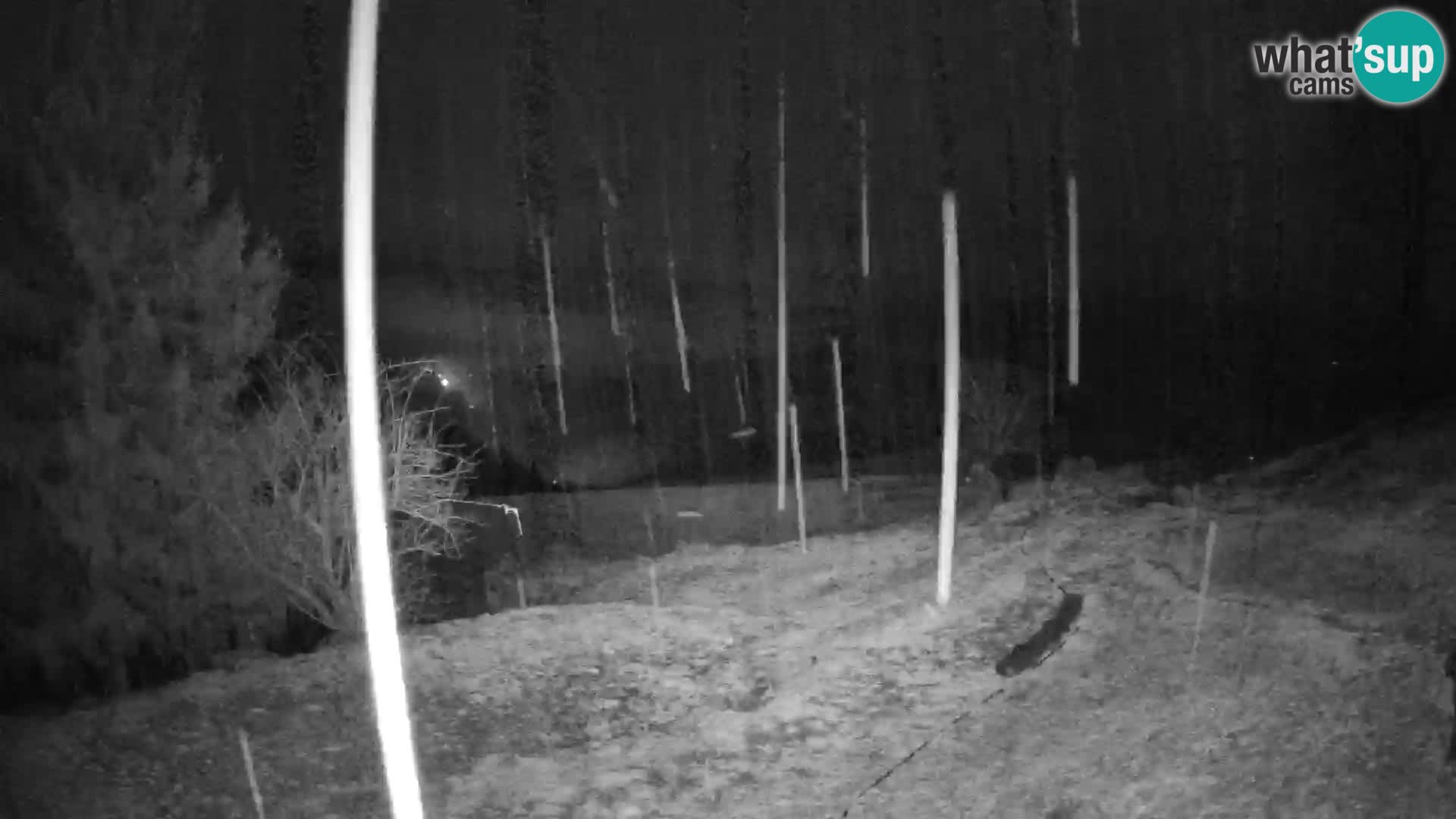 Slajka webam | Gorenja vas | Slovenia