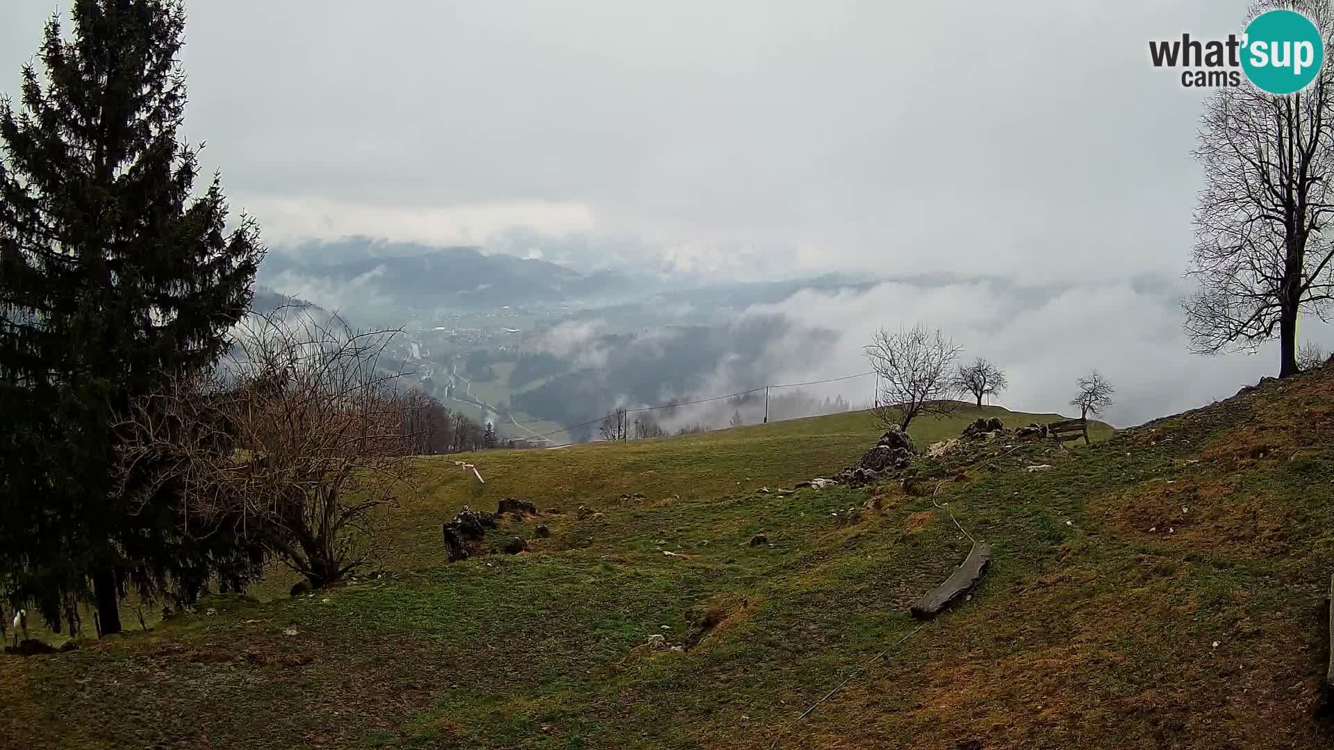 Slajka web kamera | Gorenja Vas | Slovenija