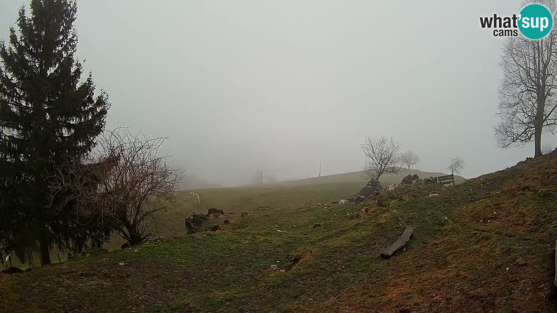 Slajka web kamera | Gorenja Vas | Slovenija