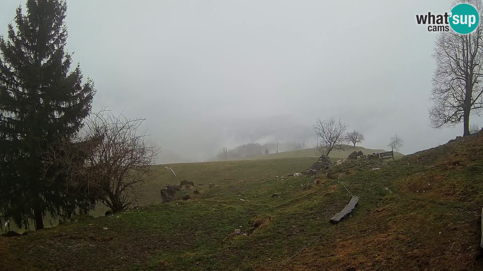 Slajka camera en vivo | Gorenja Vas | Eslovenia