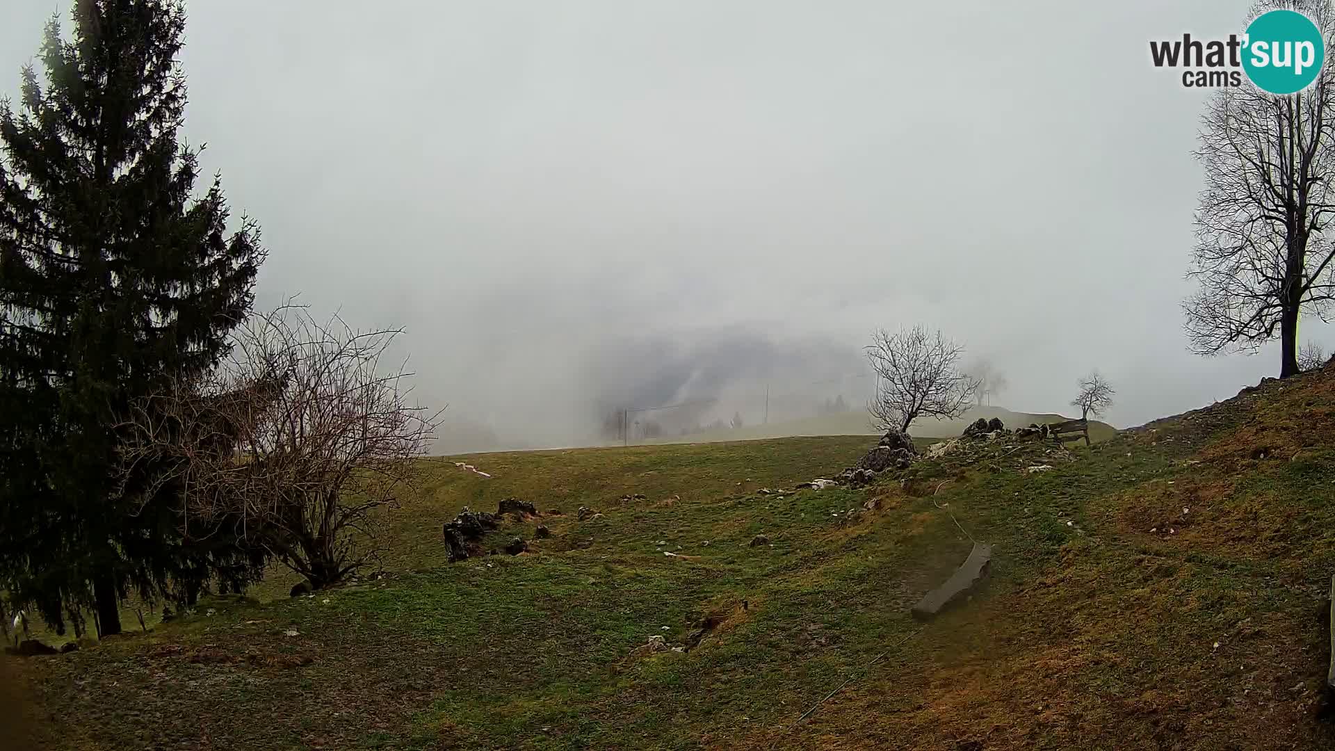 Slajka camera en vivo | Gorenja Vas | Eslovenia