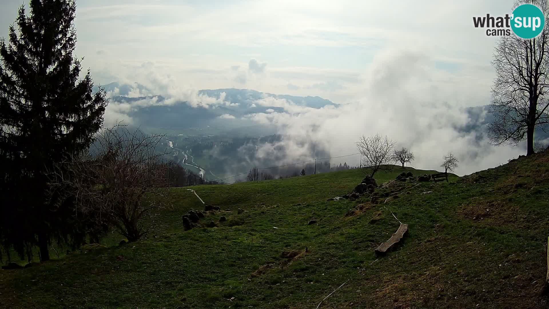 Slajka livecam | Gorenja Vas | Slovénie