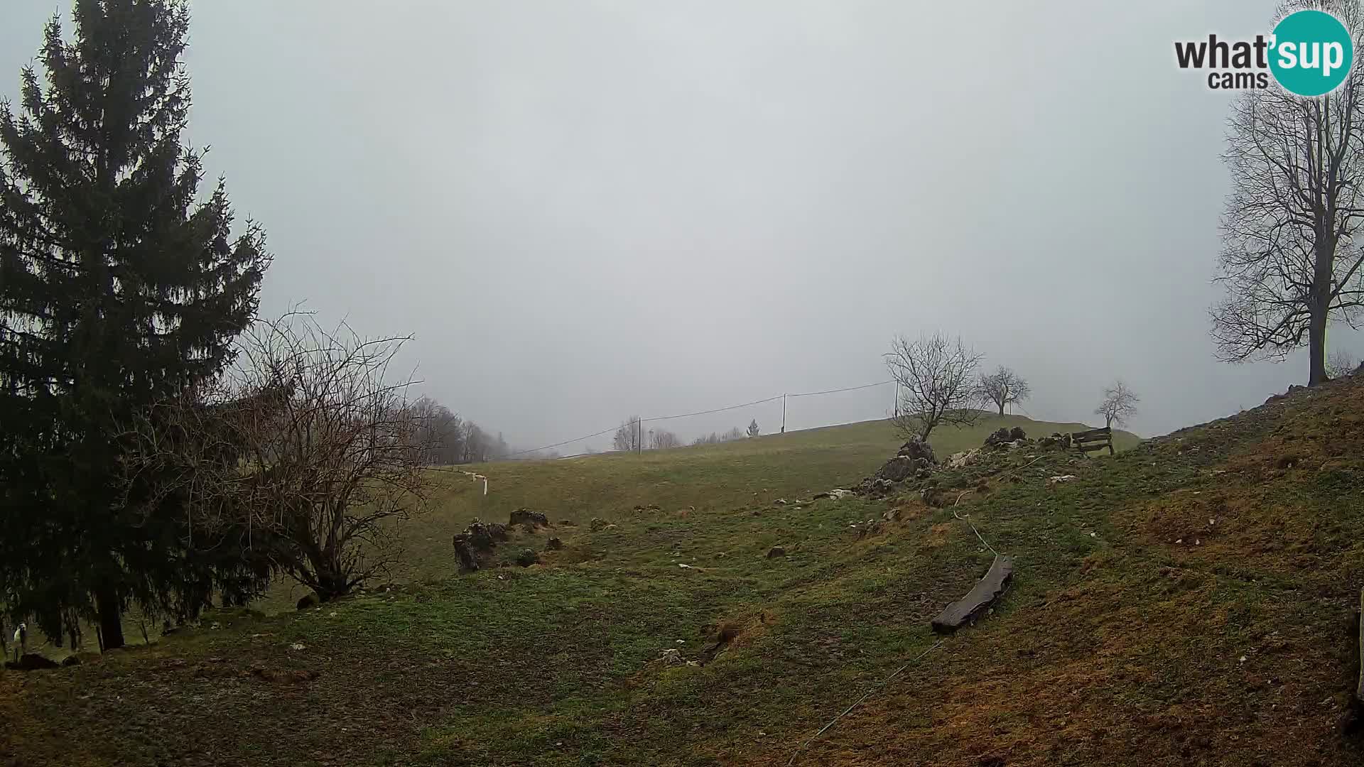 Slajka webam | Gorenja vas | Slovenia