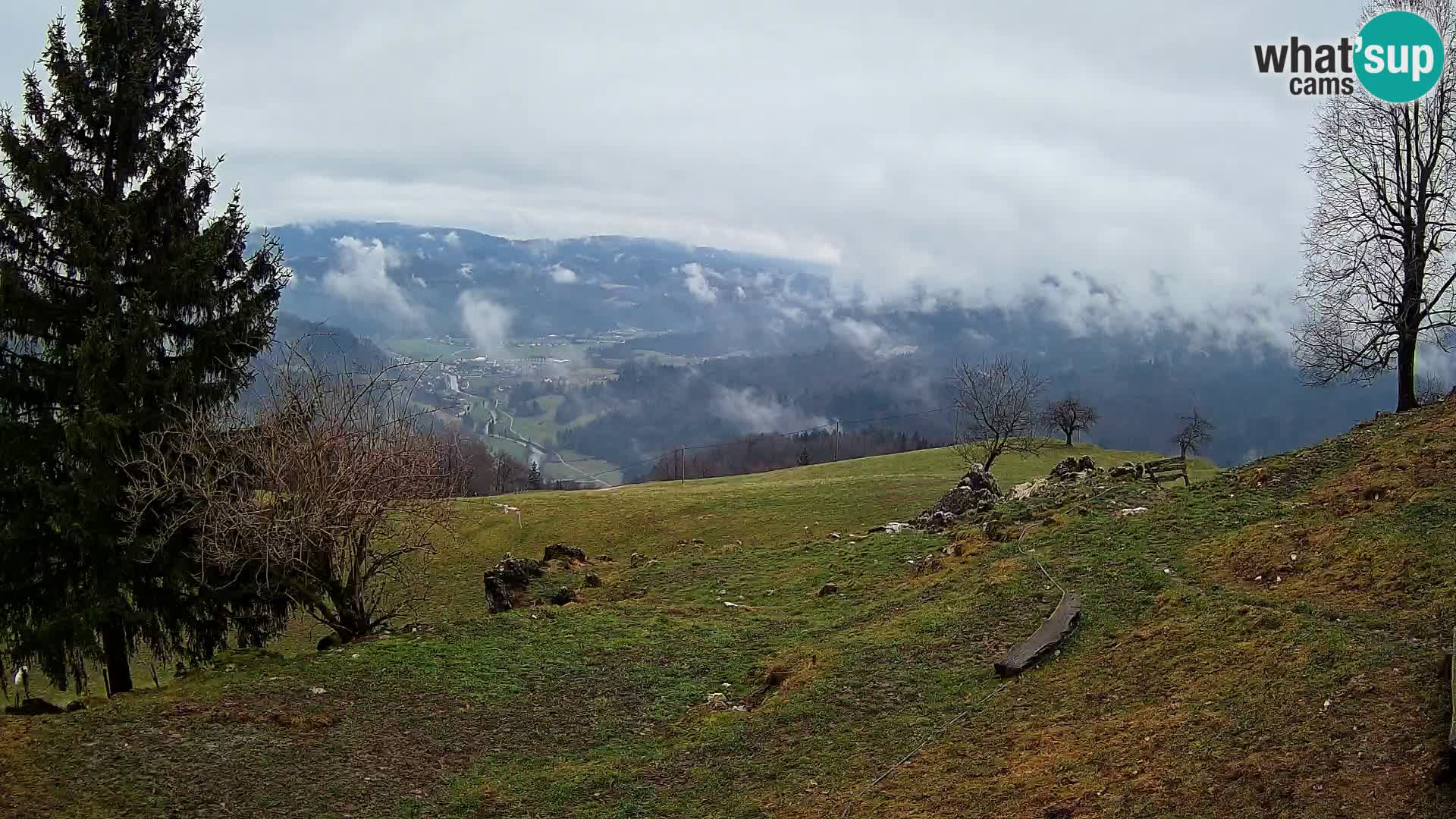 Slajka livecam | Gorenja Vas | Slovénie