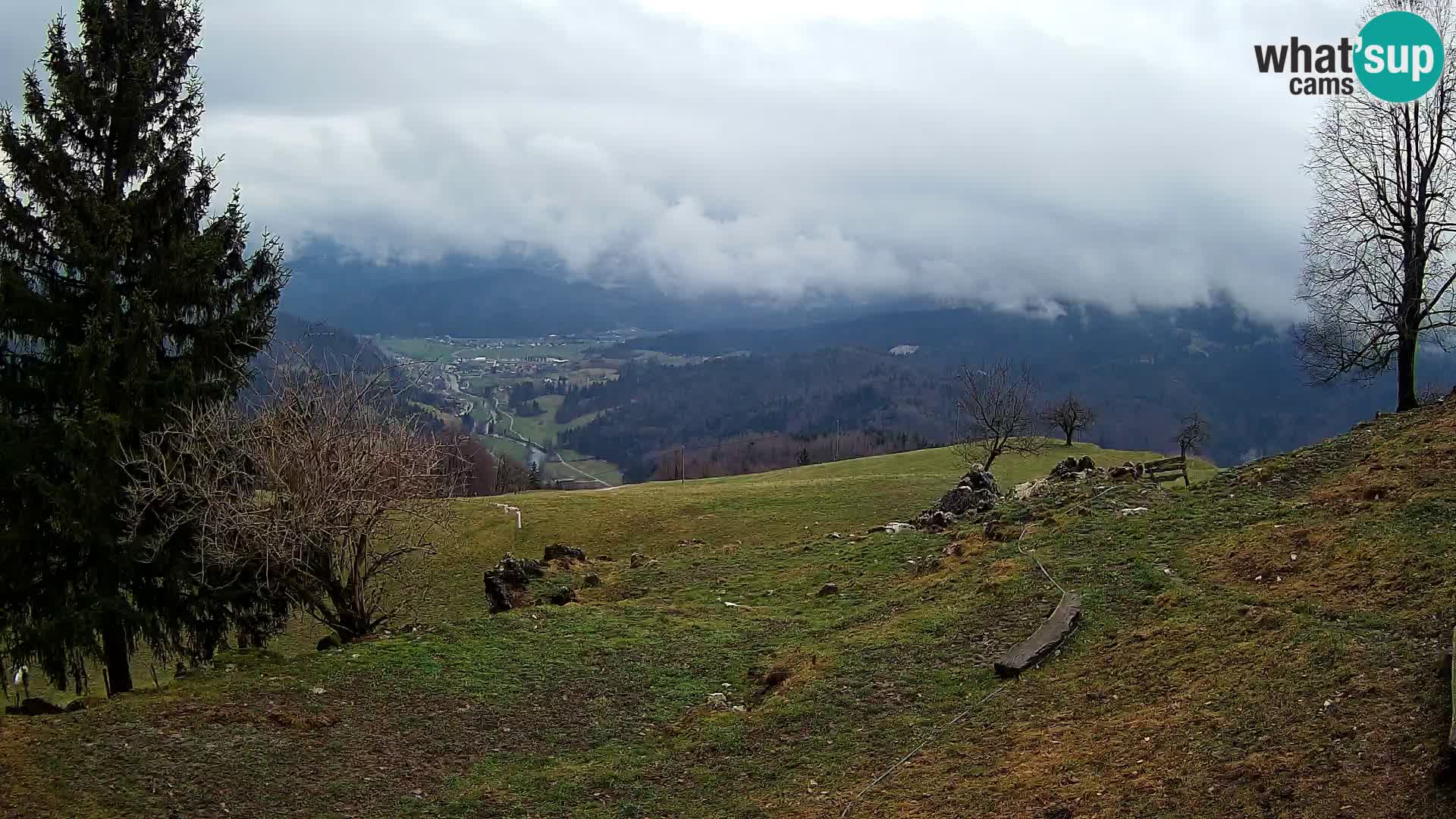 Slajka web kamera | Gorenja Vas | Slovenija