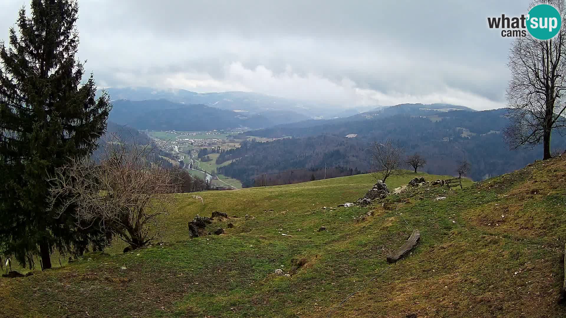 Slajka livecam | Gorenja Vas | Slovénie