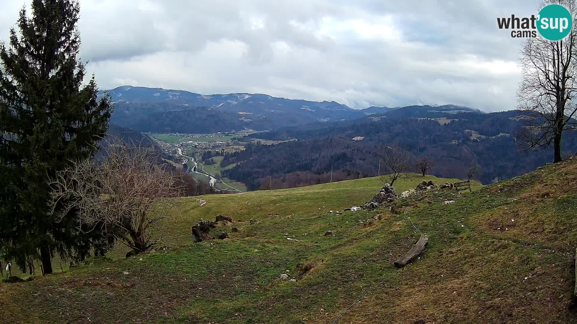 Slajka livecam | Gorenja Vas | Slovénie